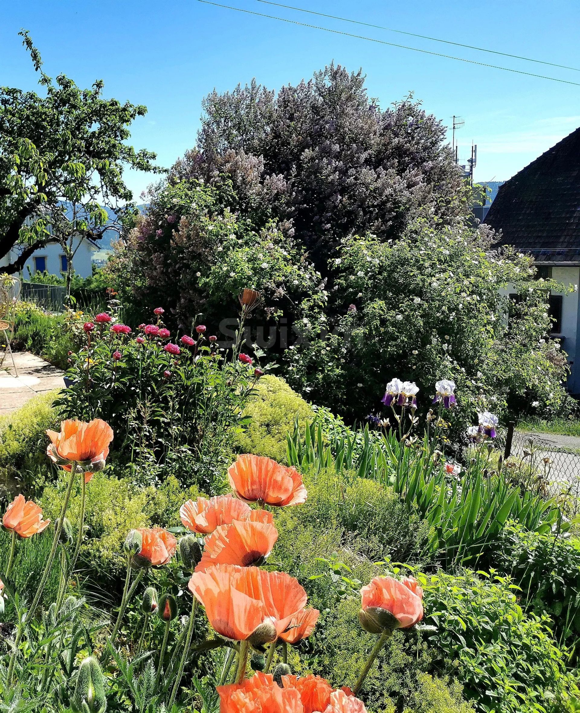 casa 6.5 Quartos para venda sobre Les Hauts-Geneveys (2208)