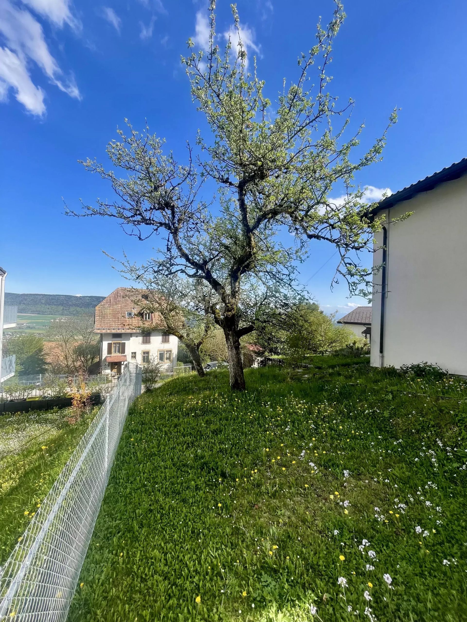 casa 6.5 Quartos para venda sobre Les Hauts-Geneveys (2208)
