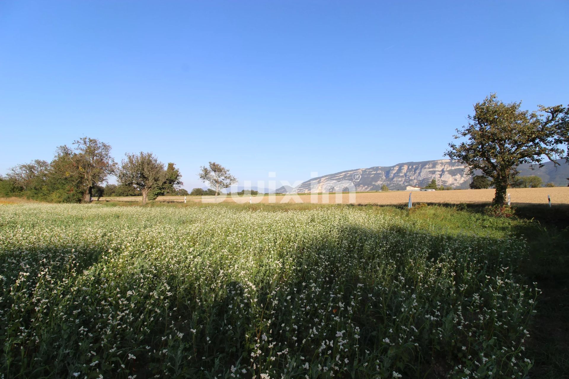 apartamento 4 Salas en venta en Plan-les-Ouates (1228)