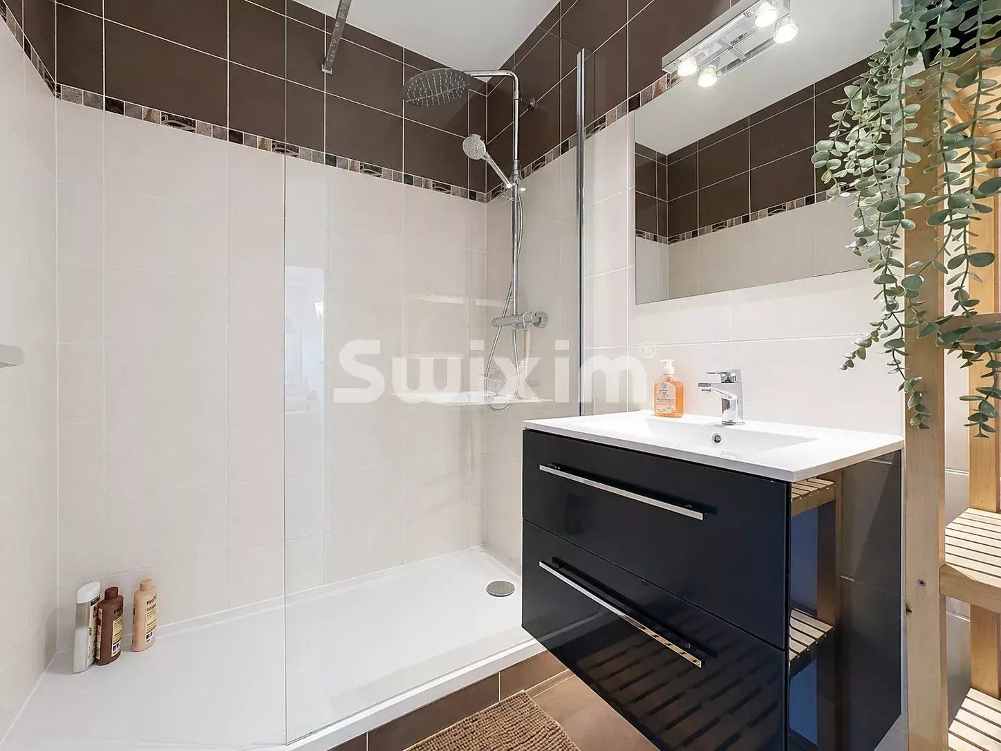 appartement 3 Pièces en vente sur Ferney-Voltaire (01210)