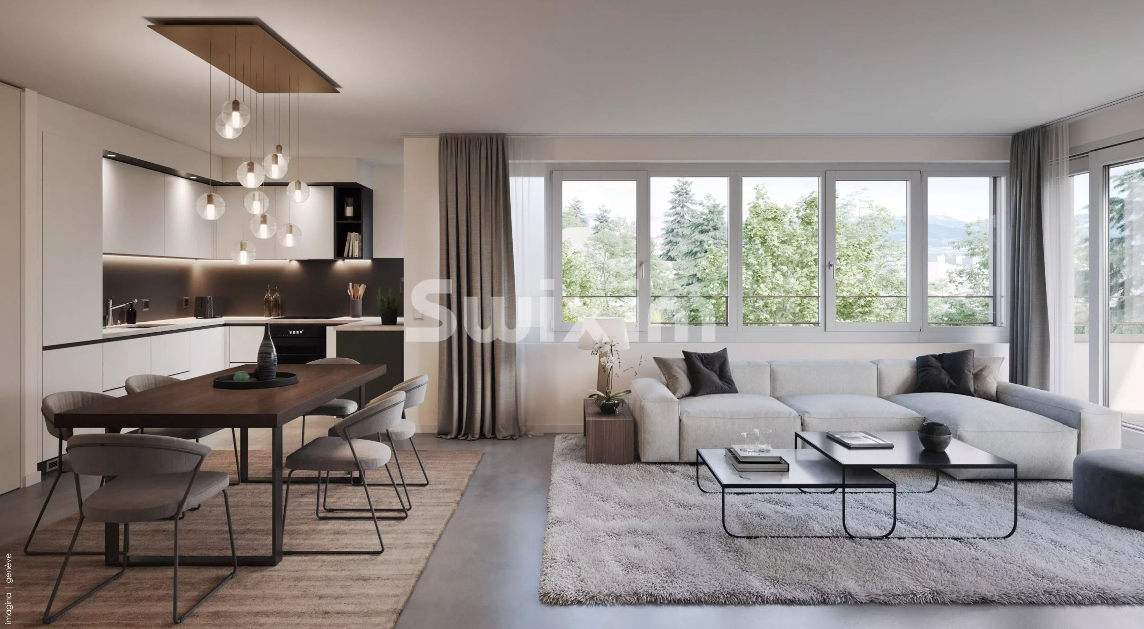 appartamento 5.5 Camere in vendita su Lancy (1212)
