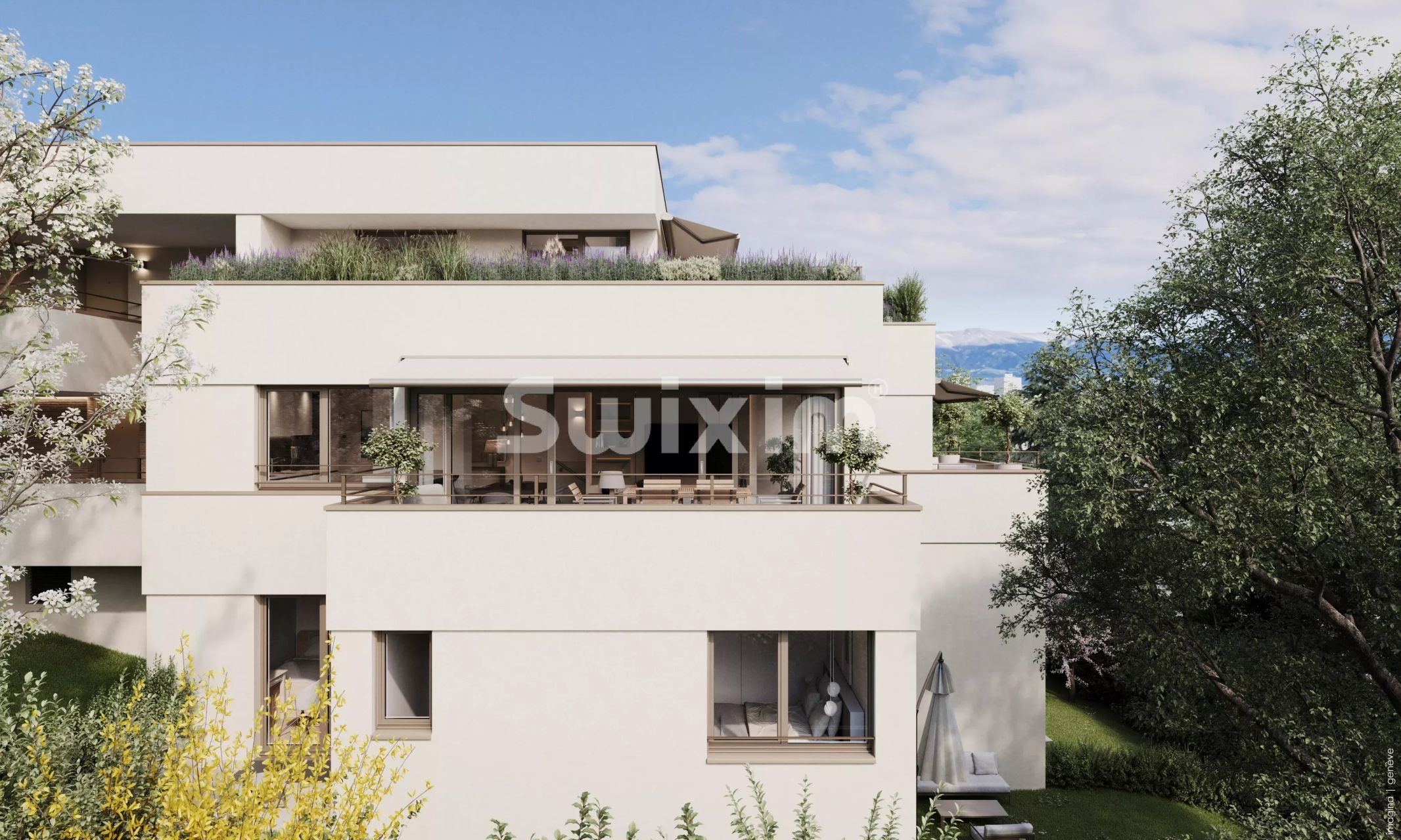 appartamento 5.5 Camere in vendita su Lancy (1212)