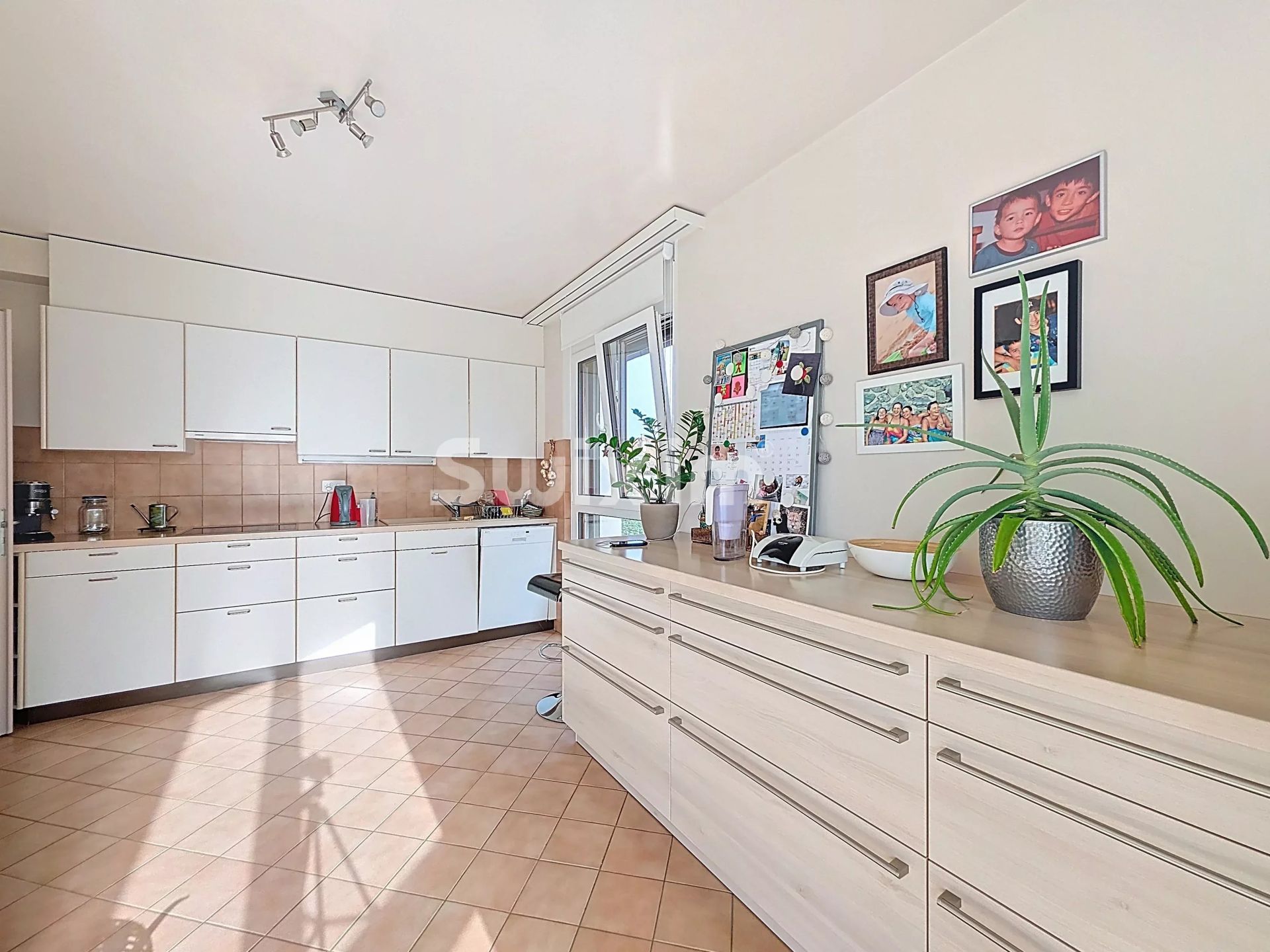 apartment 4.5 Rooms for rent on Duillier (1266)