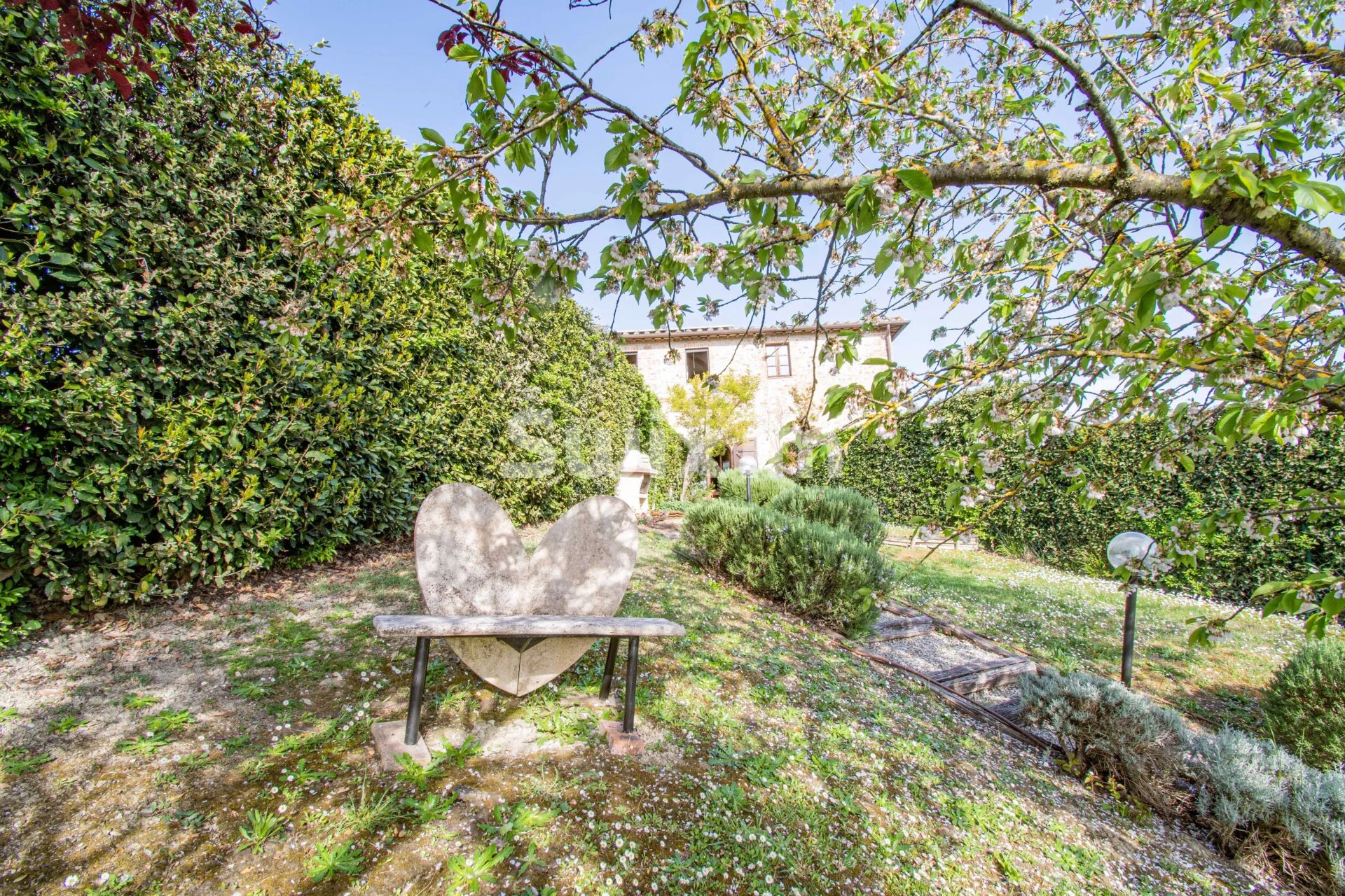 thatched cottage 4 Rooms for sale on Castelnuovo Berardenga (53019)
