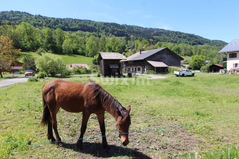 Vente Ferme Morillon 7&nbsp;Pièces 110.68&nbsp;m²