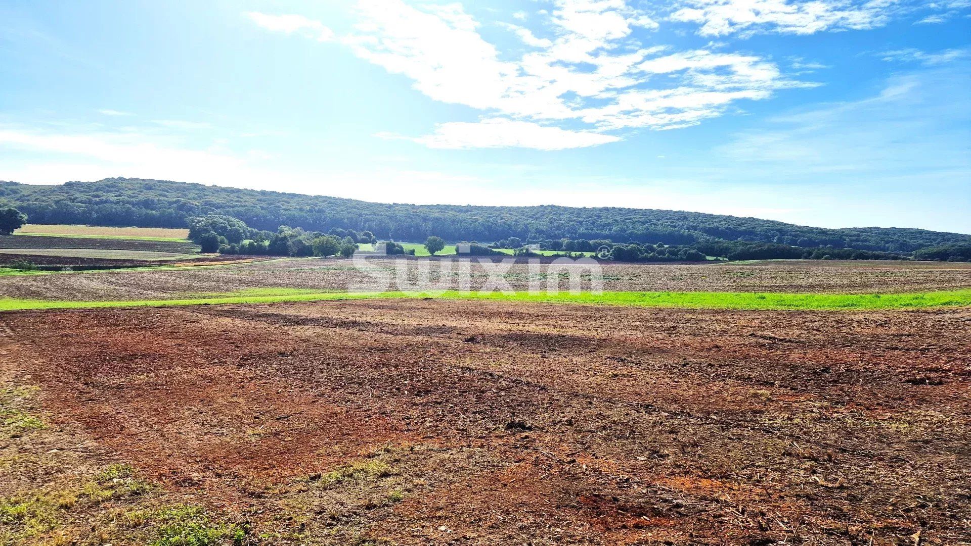 terreno edificable en venta en Avrigney-Virey (70150)