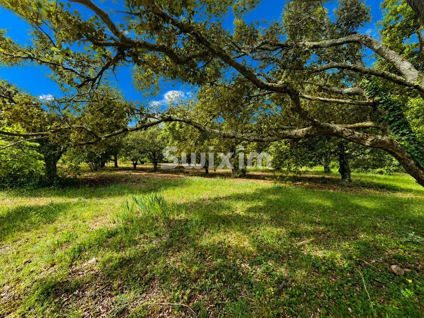 mas 5 Pièces en vente sur Grignan (26230)