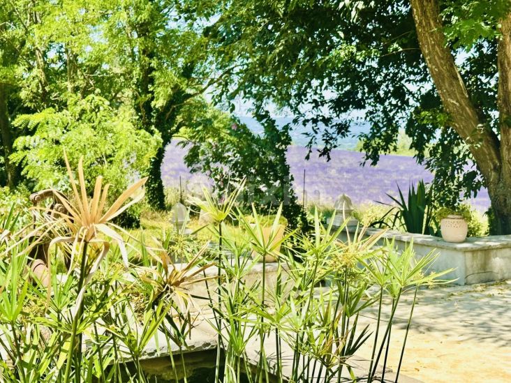 Vente Mas Uzès 40&nbsp;Pièces 589&nbsp;m²