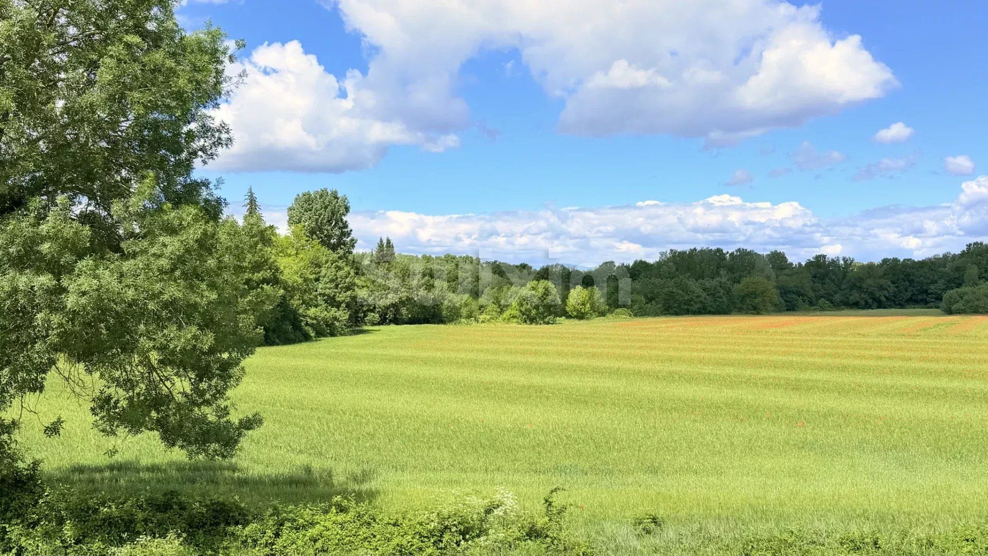 proprietà 11 Camere in vendita su Rivières (30430)