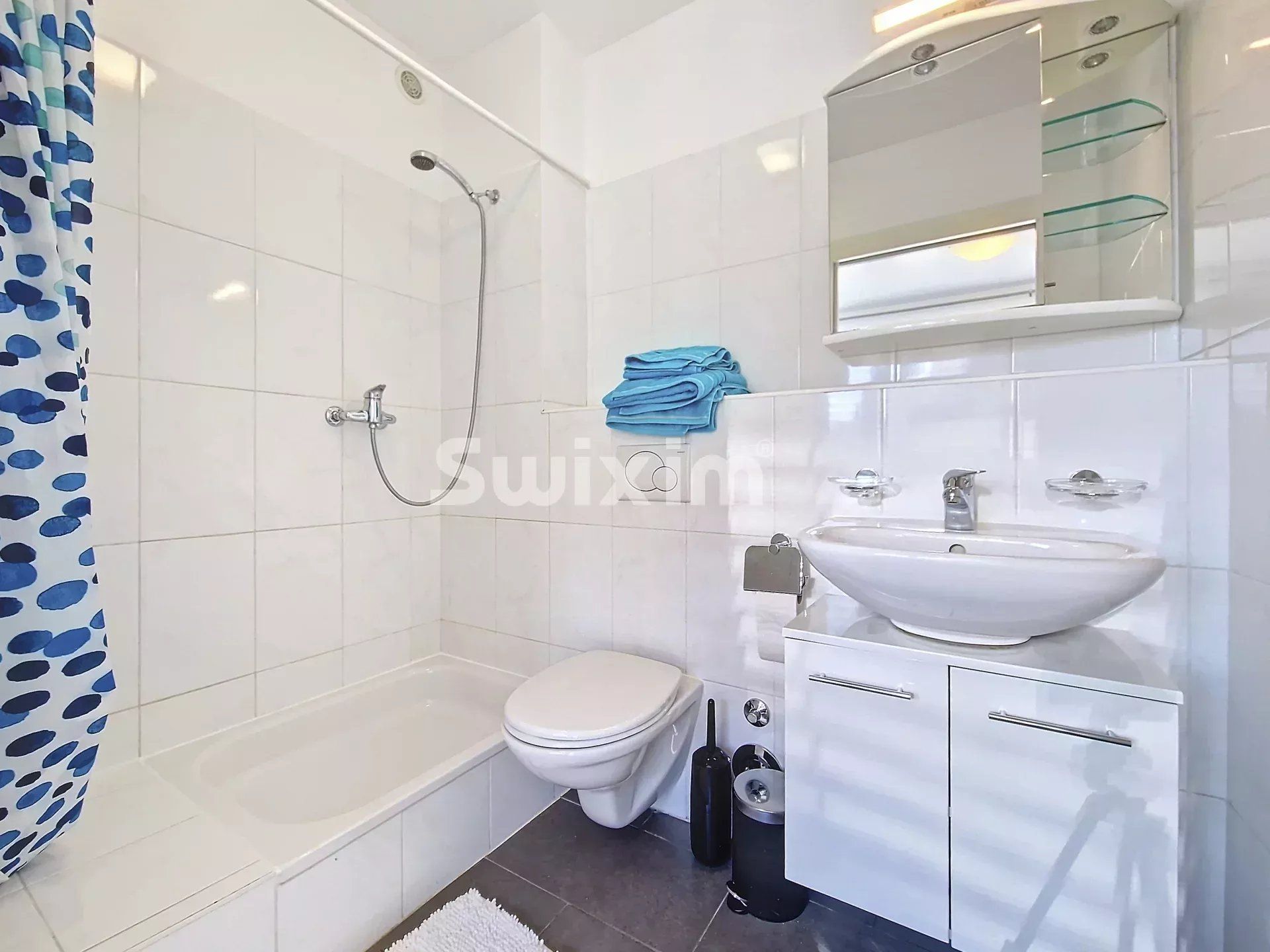 apartment 4 Rooms for rent on Genève (1201)