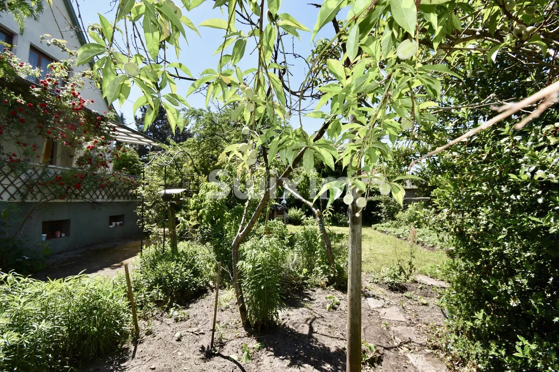 maison 6 Pièces en vente sur Haguenau (67500)