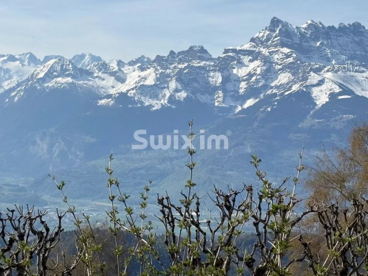 Vendita Immobile Leysin 16&nbsp;Camere 321&nbsp;m²