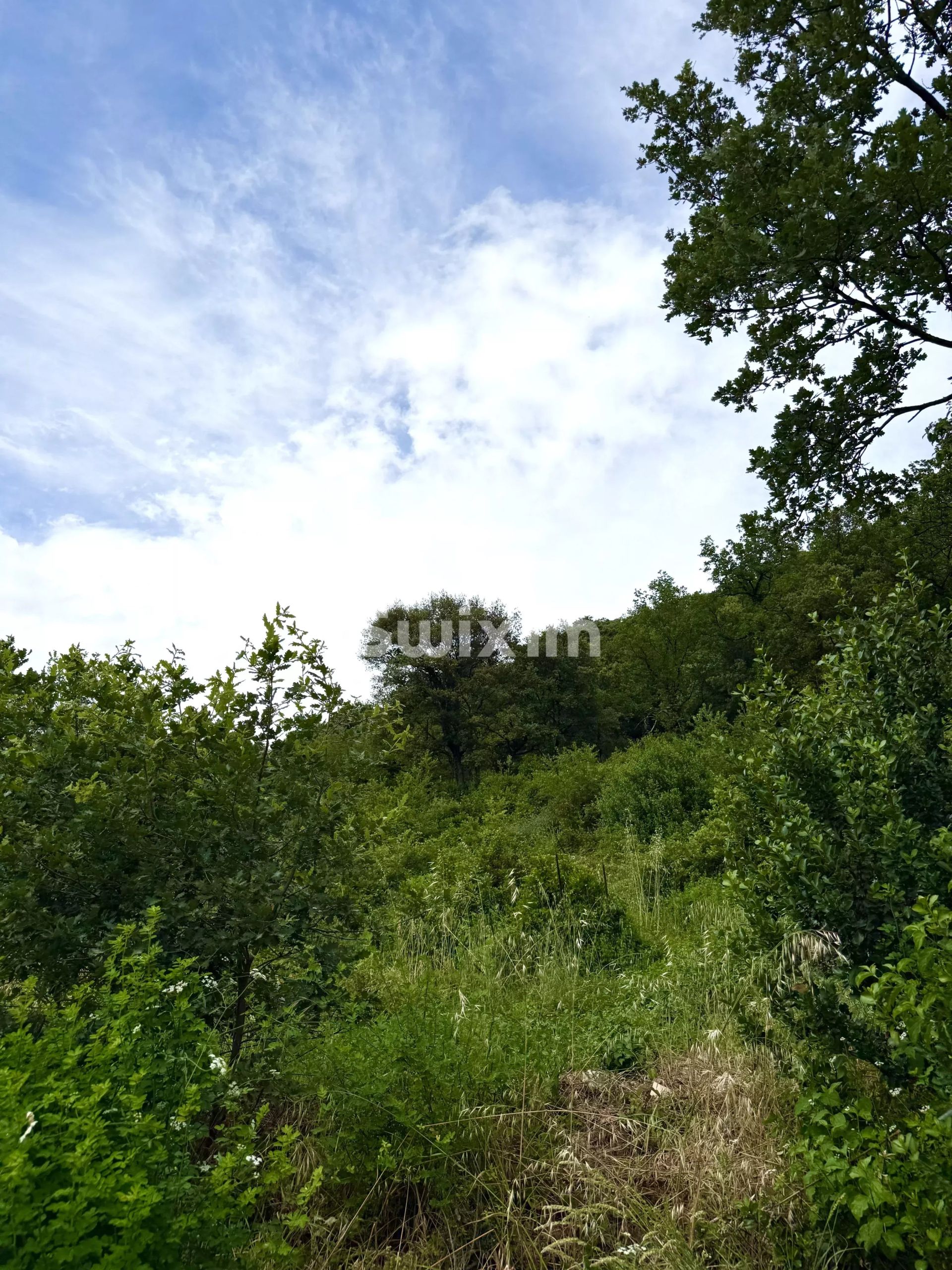 terreno in vendita su Saint-Marcel-lès-Sauzet (26740)