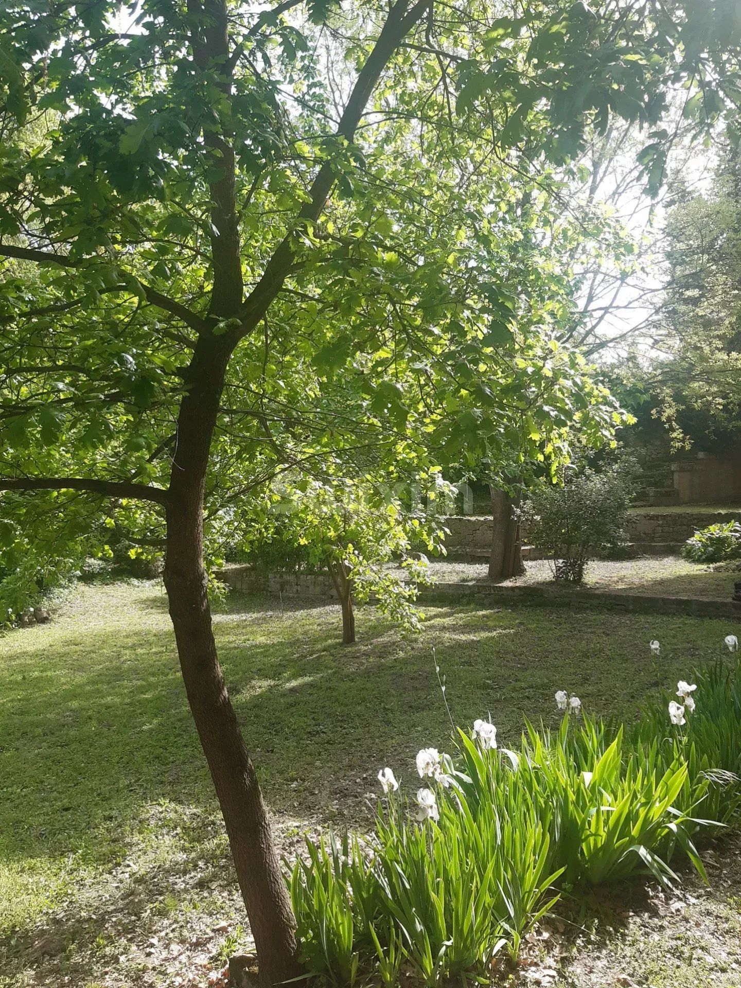 proprietà 16 Camere in vendita su Uzès (30700)