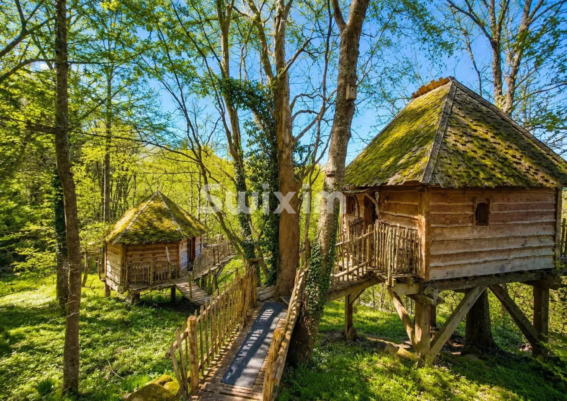 casa 16 Camere in vendita su Thannenkirch (68590)