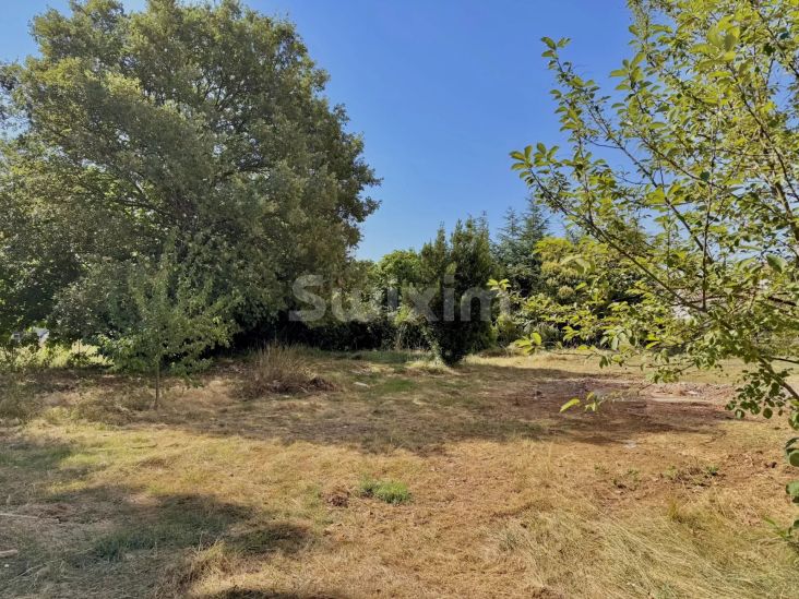 Vente Terrain Saint-Julien-les-Rosiers 991&nbsp;m²