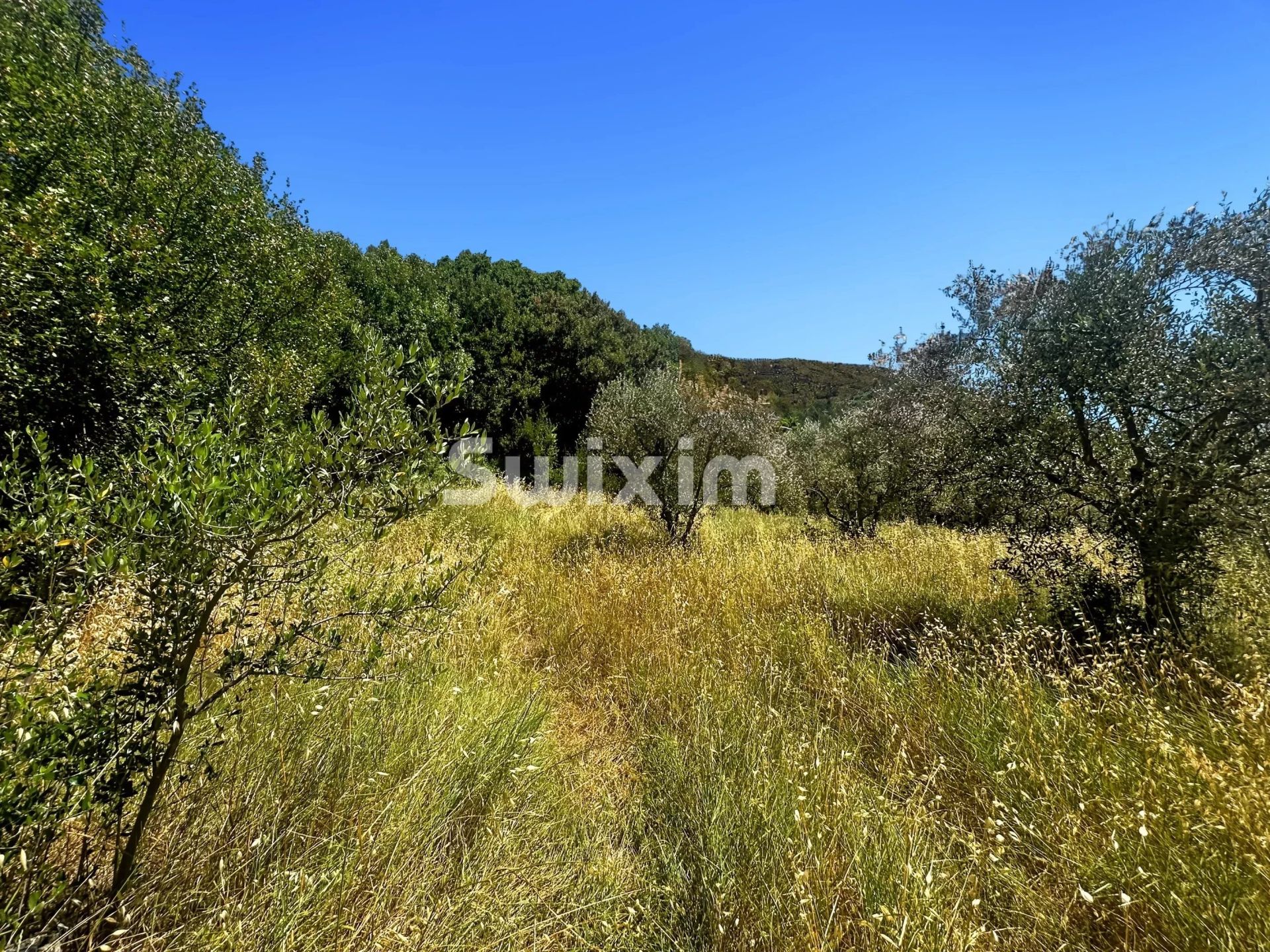 terrain à bâtir en vente sur Nyons (26110)