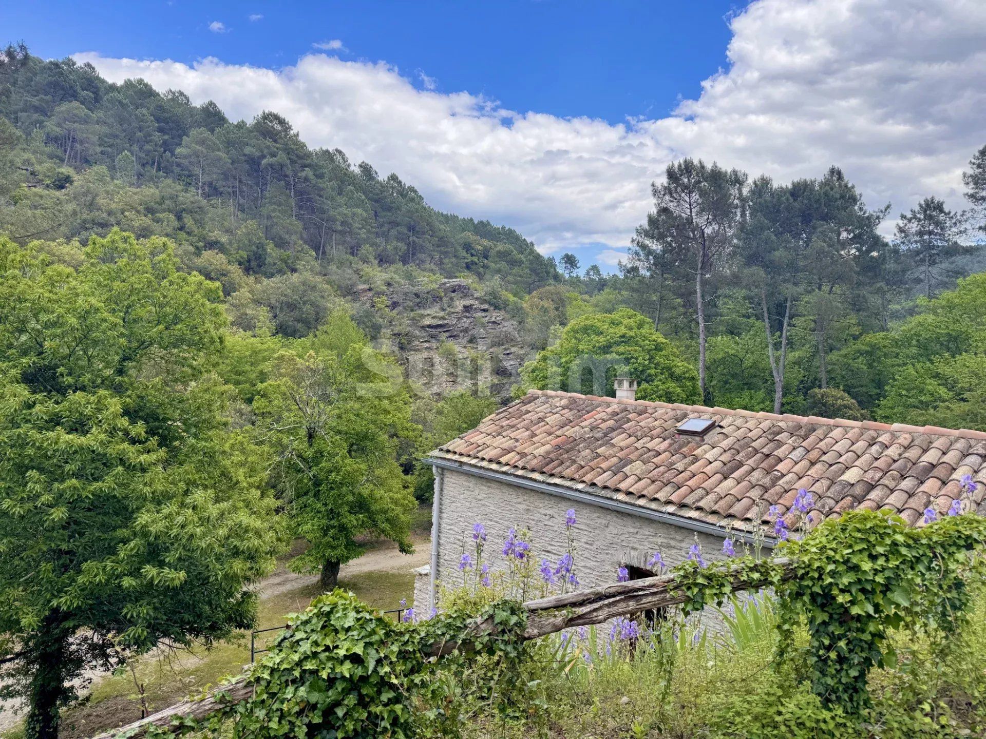 propriété 11 Pièces en vente sur Saint-Martin-de-Boubaux (48160)