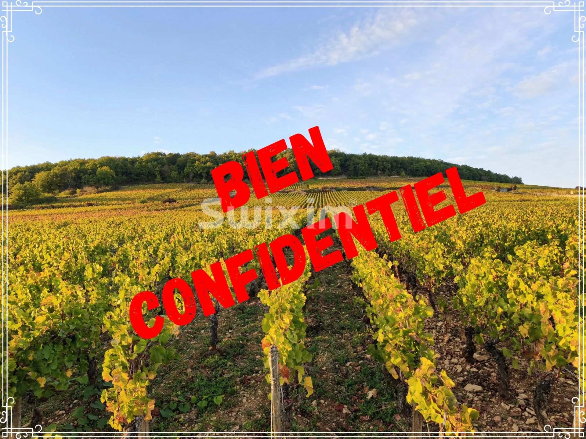 propriété 10 Pièces en vente sur Beaune (21200)