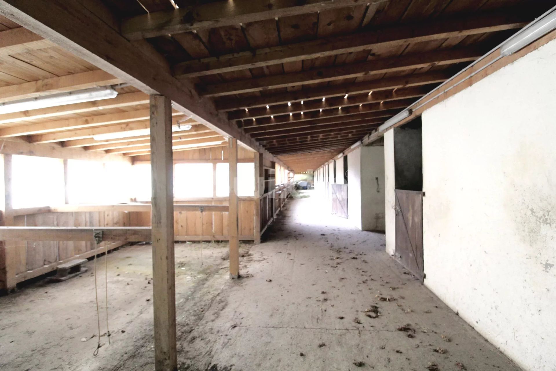 propriété équestre 50 Pièces en vente sur Allinges (74200)