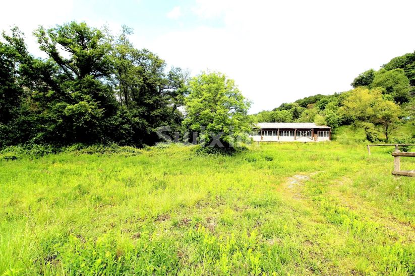Vente Propriété équestre Allinges 50&nbsp;Pièces 20000&nbsp;m²