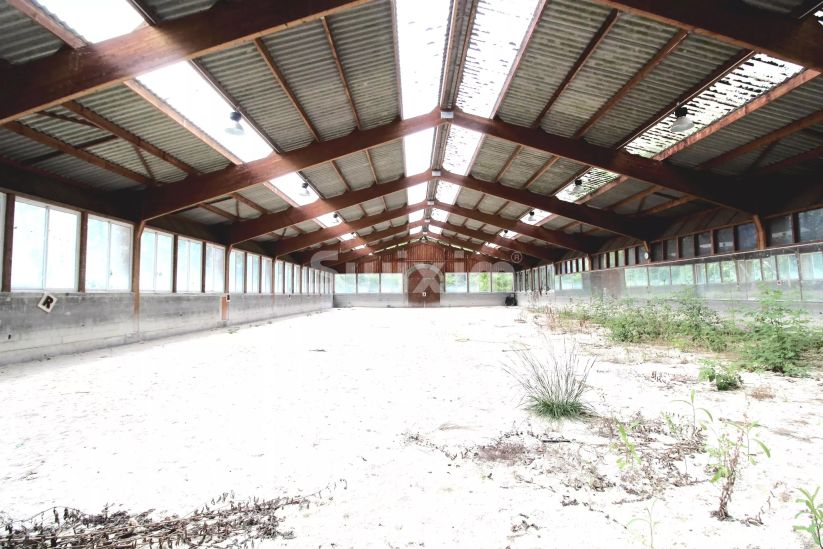 Vente Propriété équestre Allinges 50&nbsp;Pièces 20000&nbsp;m²