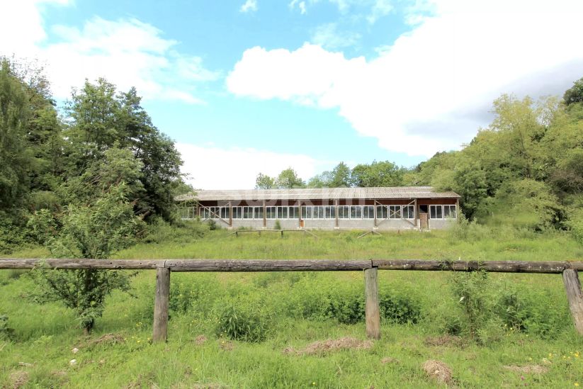 Vente Propriété équestre Allinges 50&nbsp;Pièces 2400&nbsp;m²