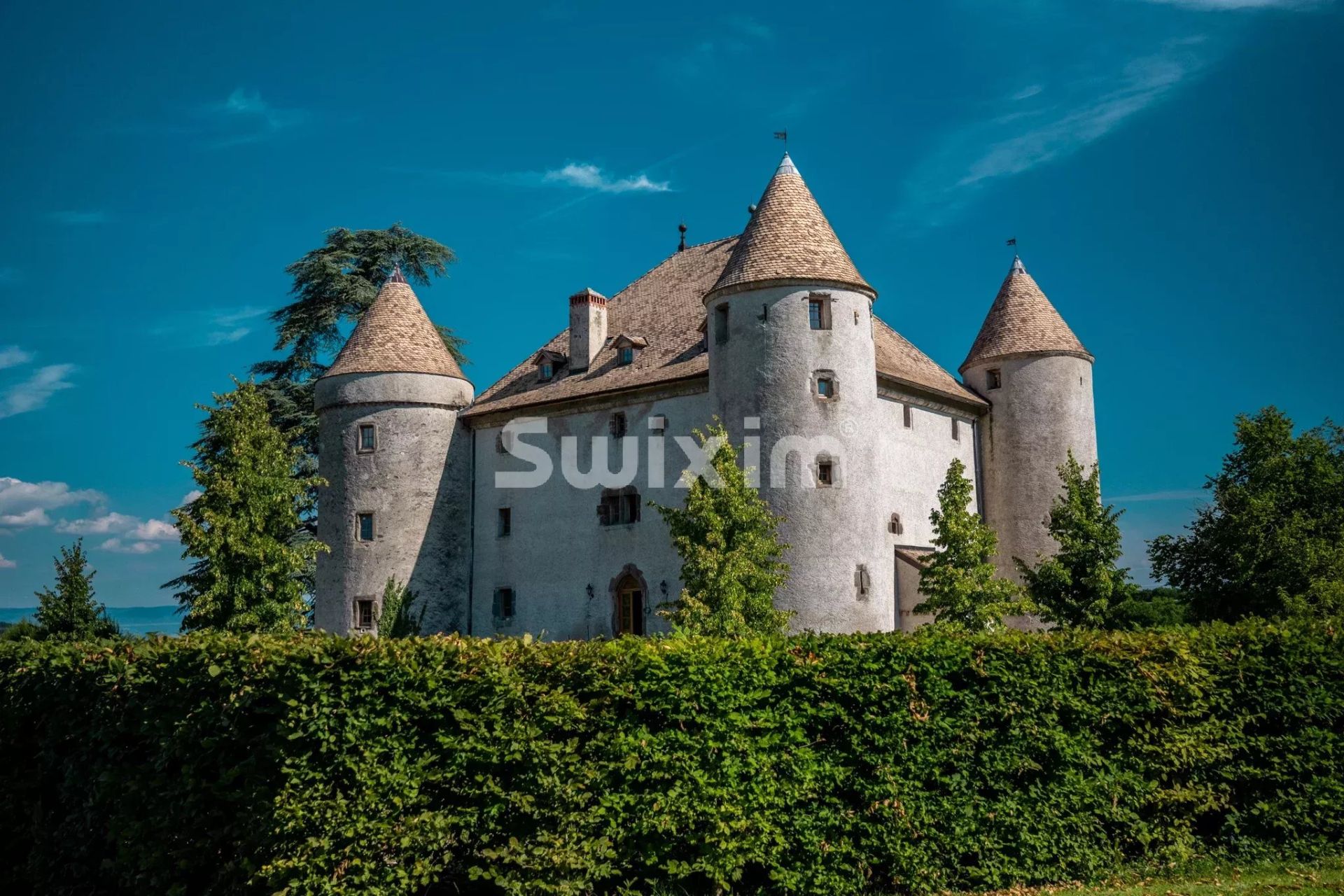castelo 19 Quartos para venda sobre Lully (74890)