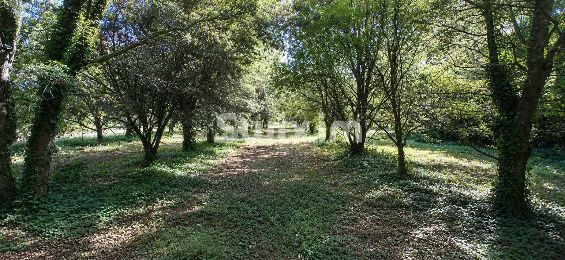 mas 14 Quartos para venda sobre Grignan (26230)