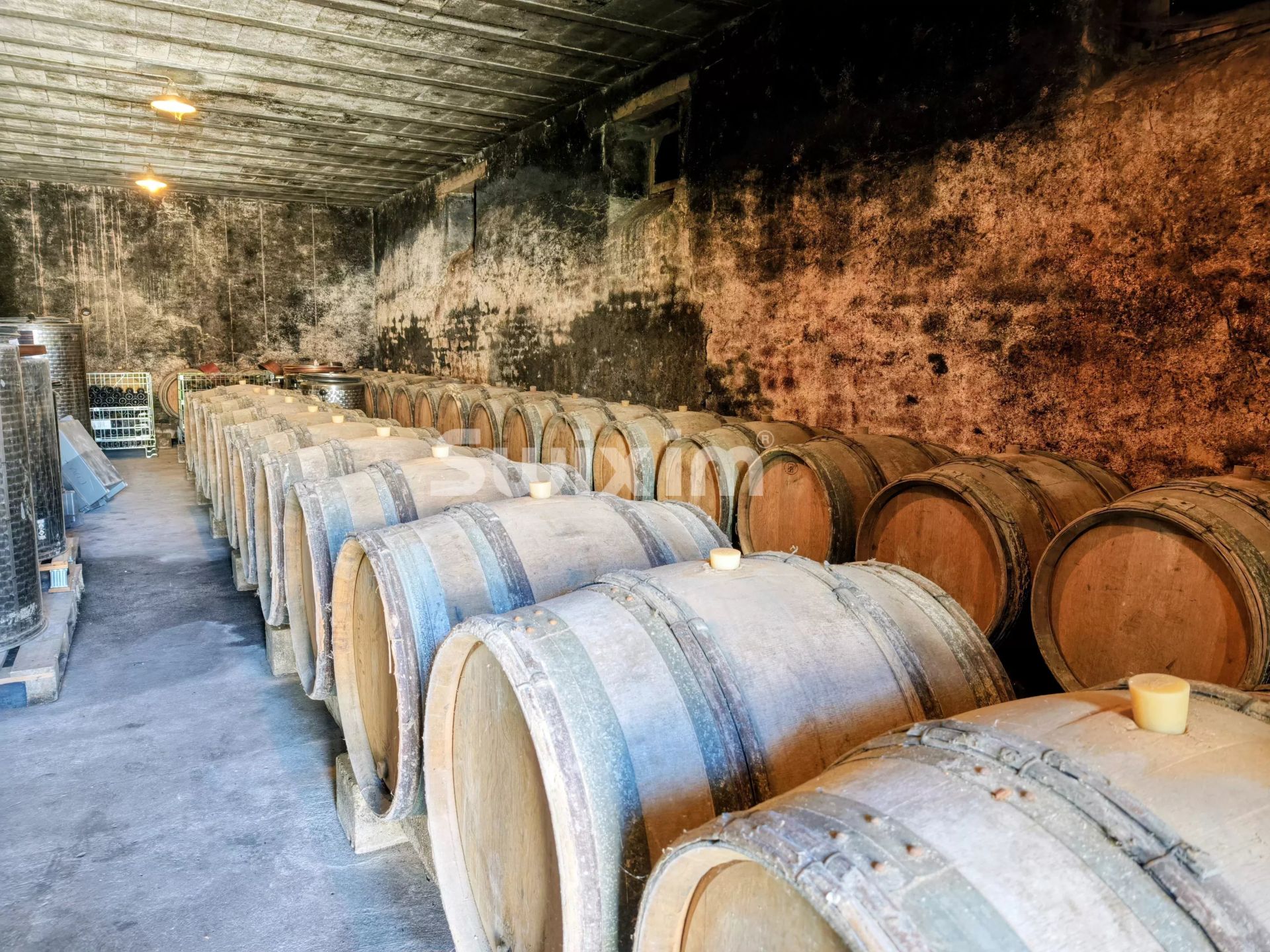 anwesen 10 Zimmer zum verkauf auf Beaune (21200)