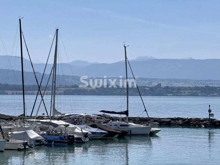 Vente Villa Coppet 11&nbsp;Pièces 450&nbsp;m²