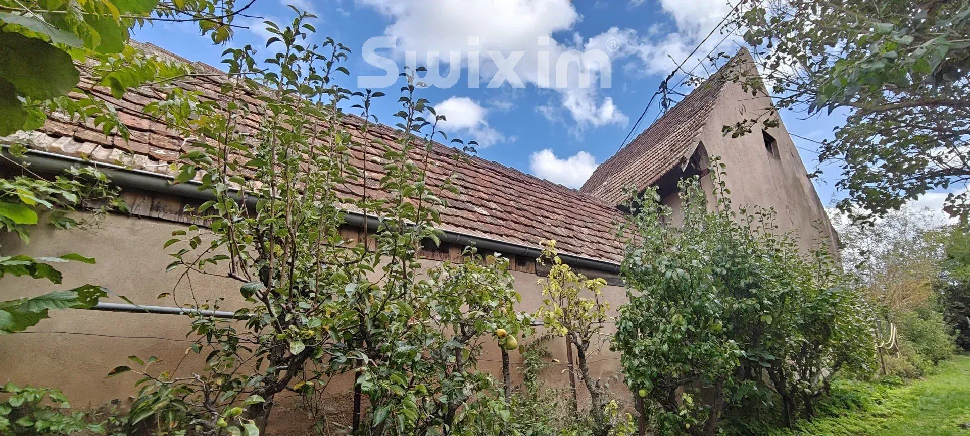 Vente Maison de ville Vendenheim 1&nbsp;pièce 120&nbsp;m²