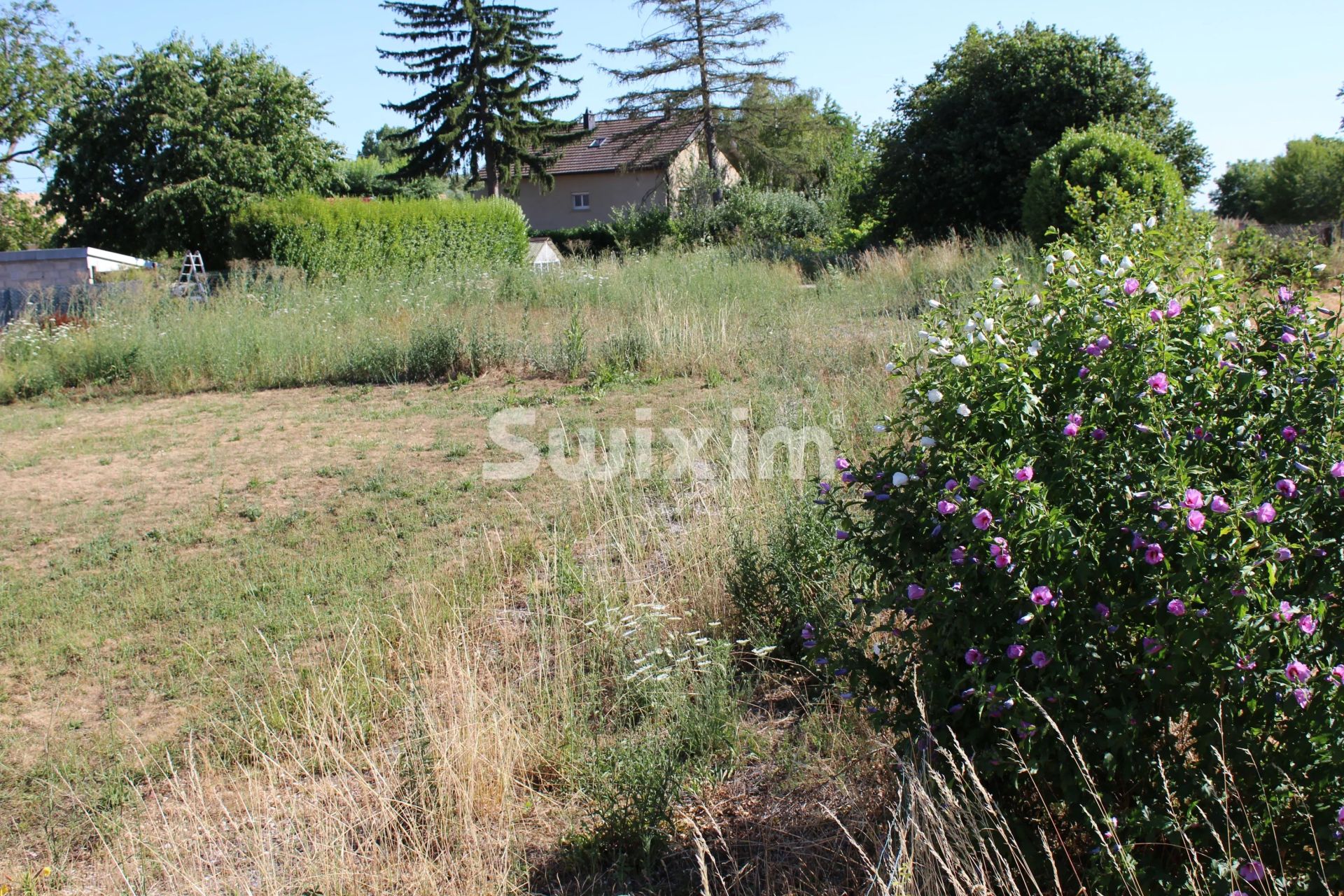 grundst&uuml;ck zum verkauf auf Saint-Aubin (39410)