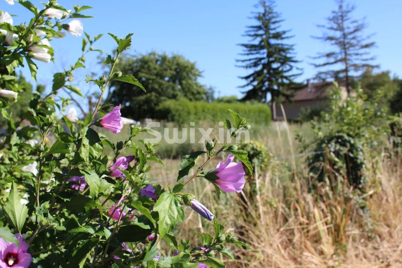 Verkauf Grundst&uuml;ck Saint-Aubin 617&nbsp;m²