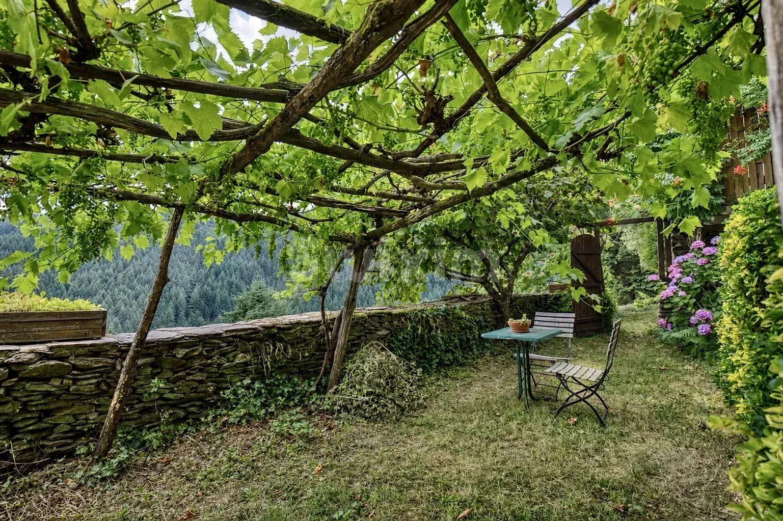 mas 9 Rooms for sale on Le Collet-de-Dèze (48160)