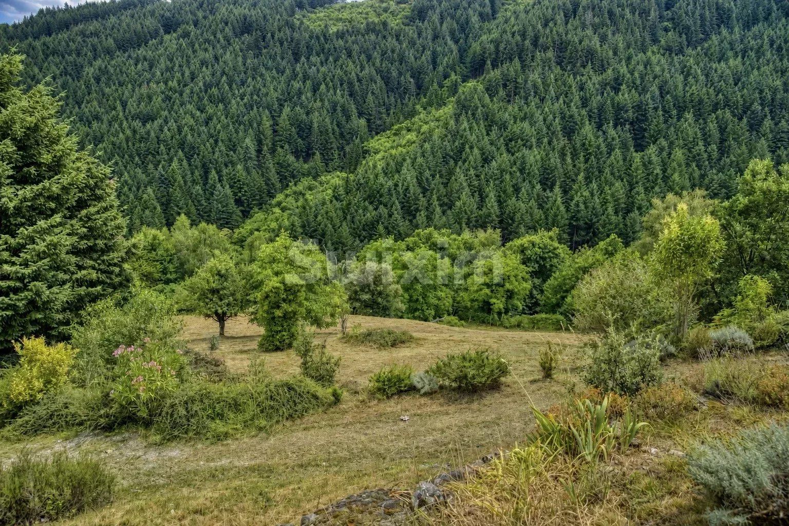 mas 9 Rooms for sale on Le Collet-de-Dèze (48160)
