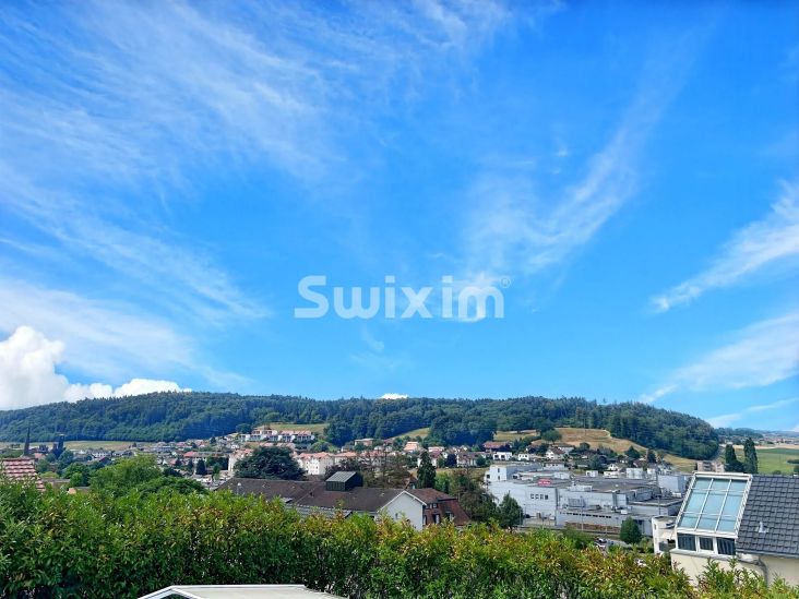Vente Villa Fribourg 7.5&nbsp;Pièces 210&nbsp;m²