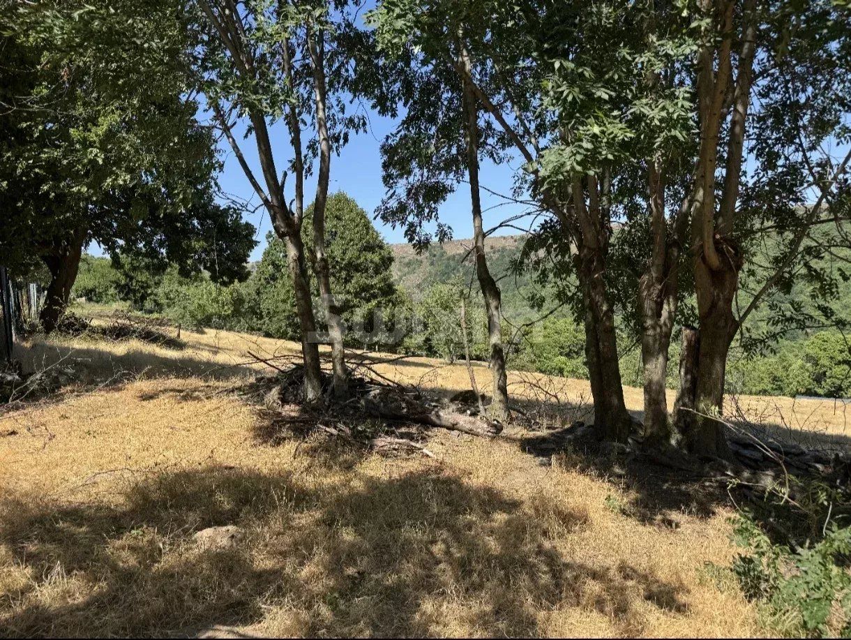 terrain en vente sur Villefort (48800)