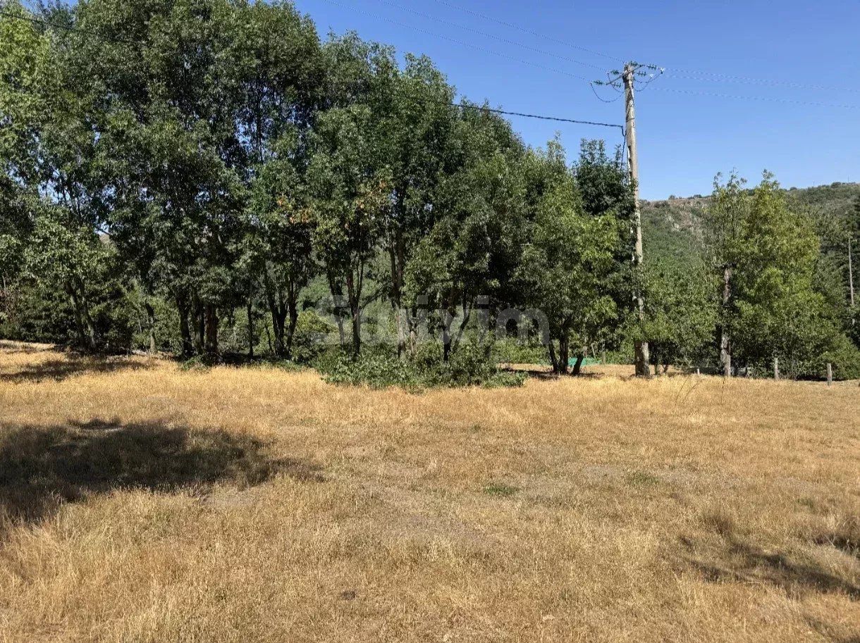 terrain en vente sur Villefort (48800)