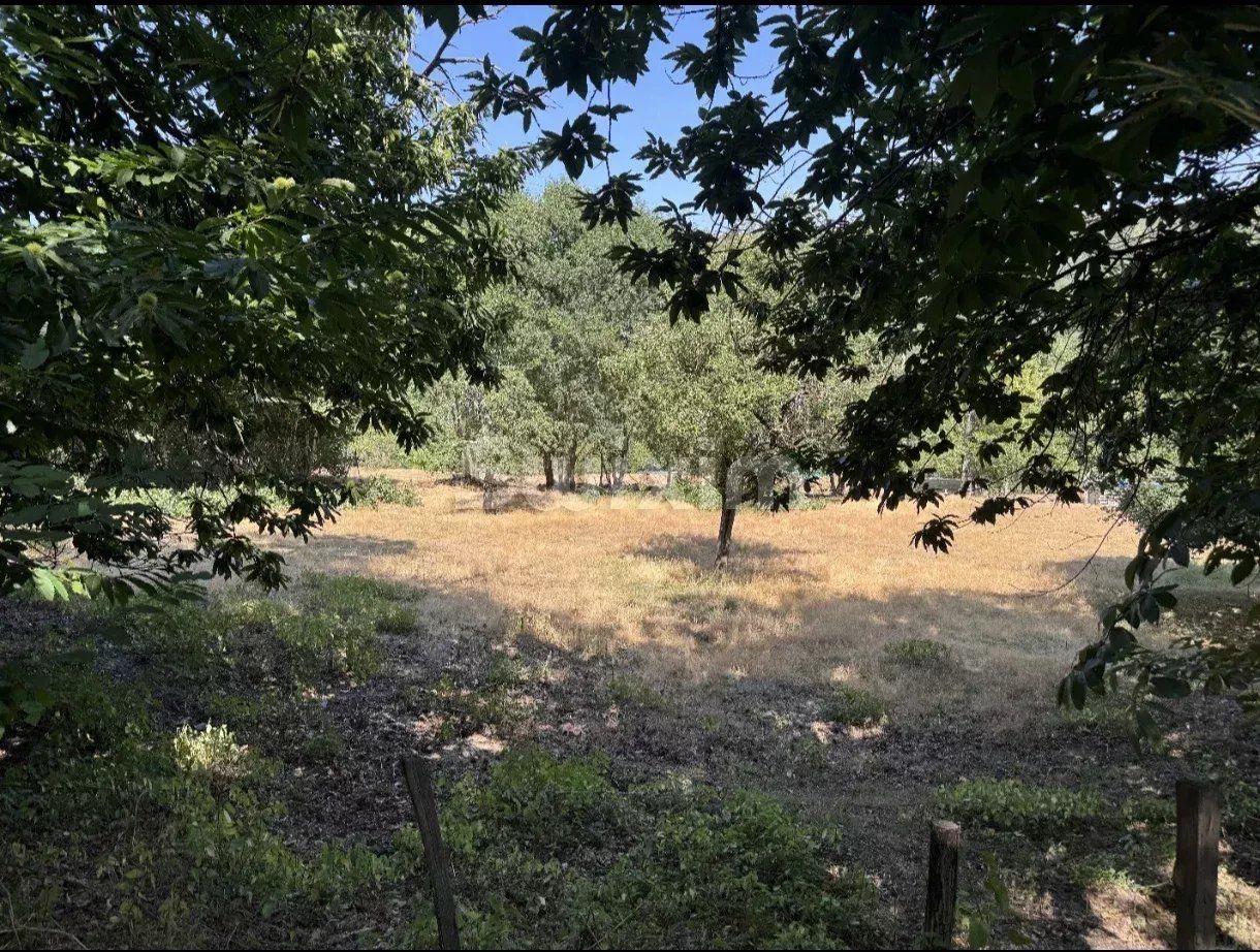 terrain en vente sur Villefort (48800)