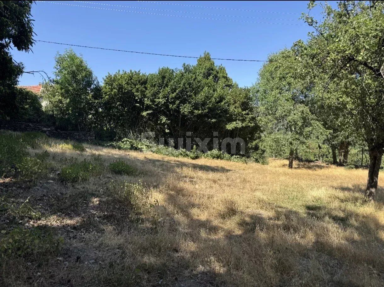terrain en vente sur Villefort (48800)