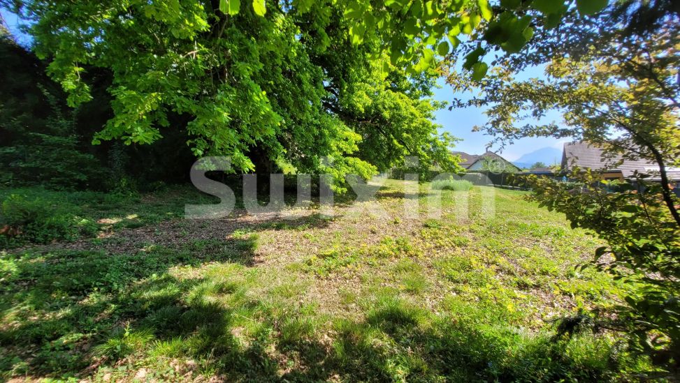 Vente Terrain Drumettaz-Clarafond 1077&nbsp;m²