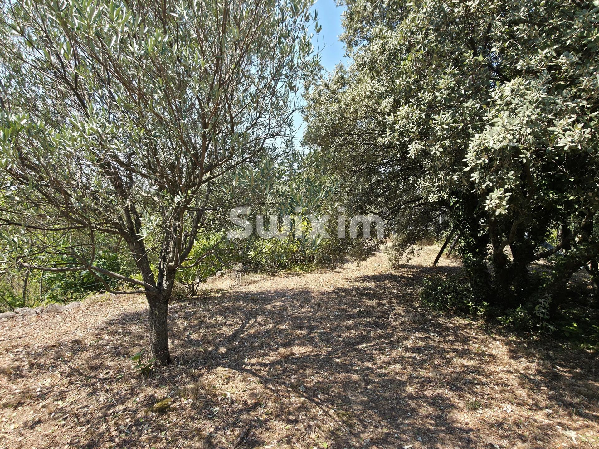maison 7 Pièces en vente sur Taulignan (26770)