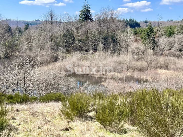 Vendita Castello La Salvetat-sur-Agout 12&nbsp;Camere 650&nbsp;m²