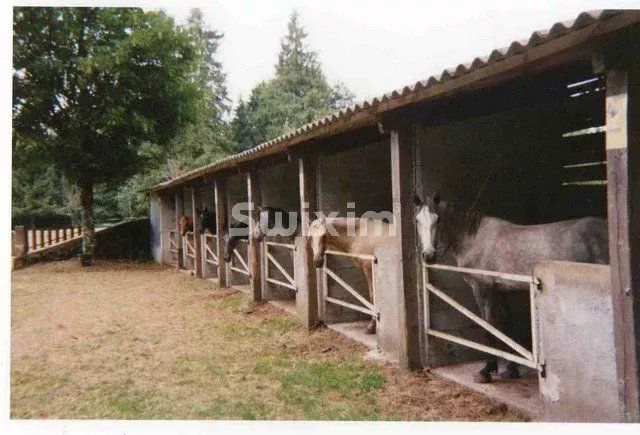 Vendita Castello La Salvetat-sur-Agout 12&nbsp;Camere 650&nbsp;m²