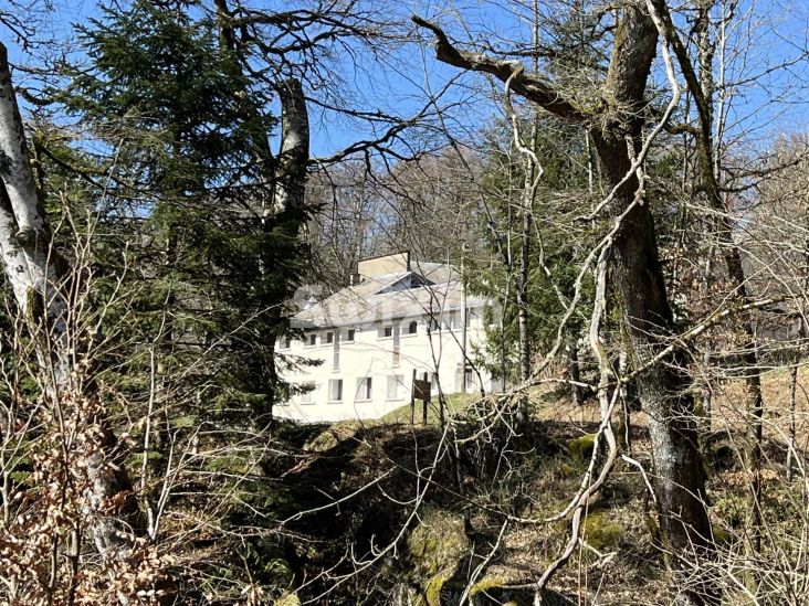Vendita Immobile La Salvetat-sur-Agout 15&nbsp;Camere 1000&nbsp;m²