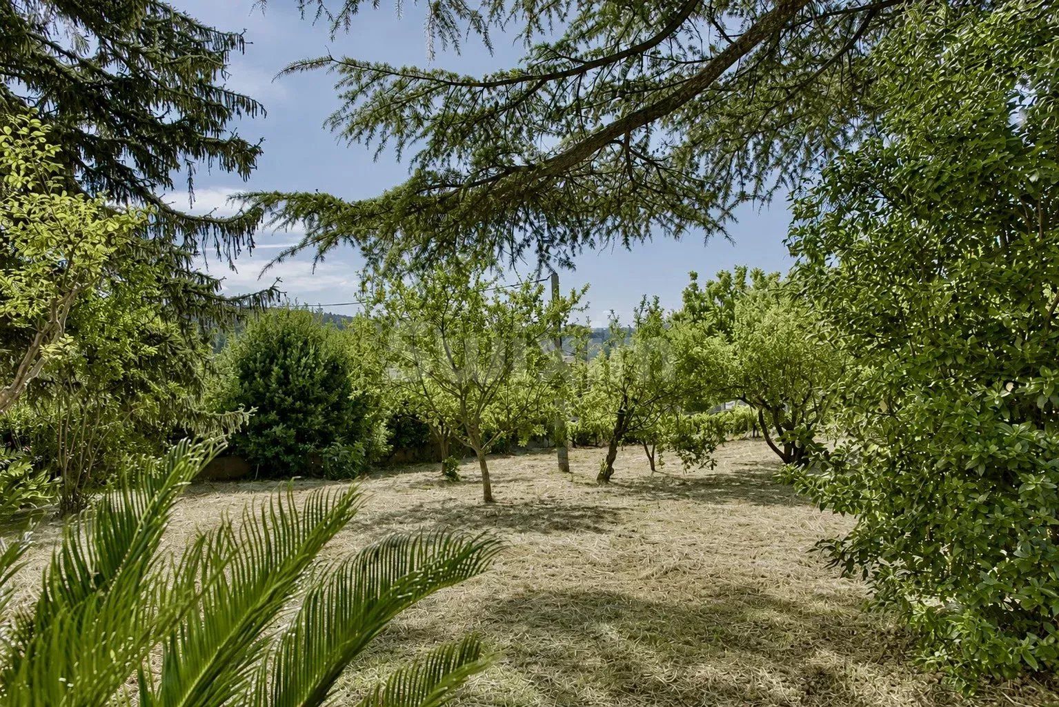haus 6 Zimmer zum verkauf auf Branoux-les-Taillades (30110)
