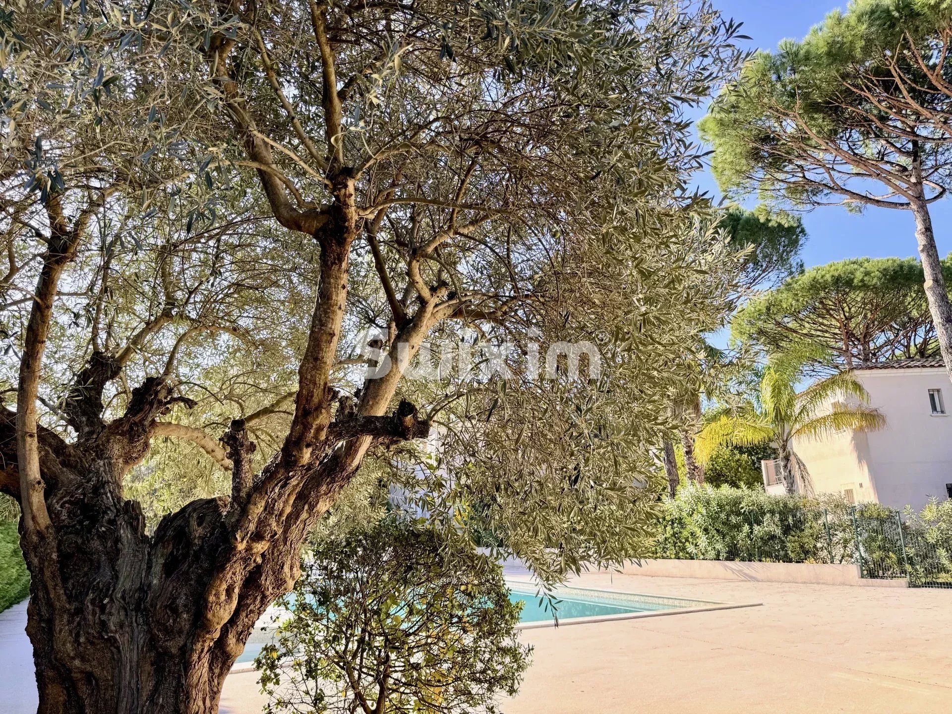 casa 3 Camere in vendita su Saint-Tropez (83990)