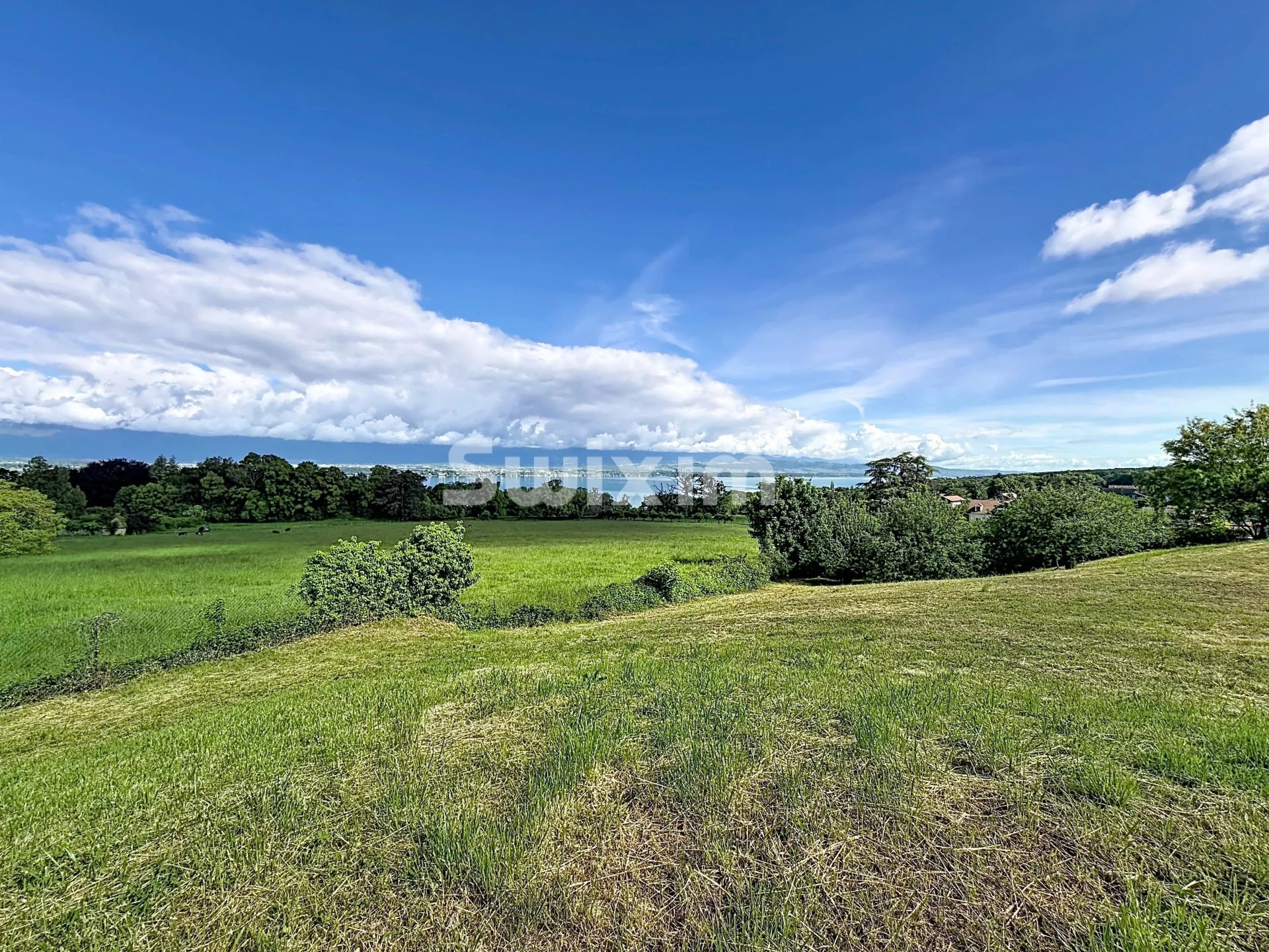 appartement 4 Pièces en vente sur Chens-sur-Léman (74140)