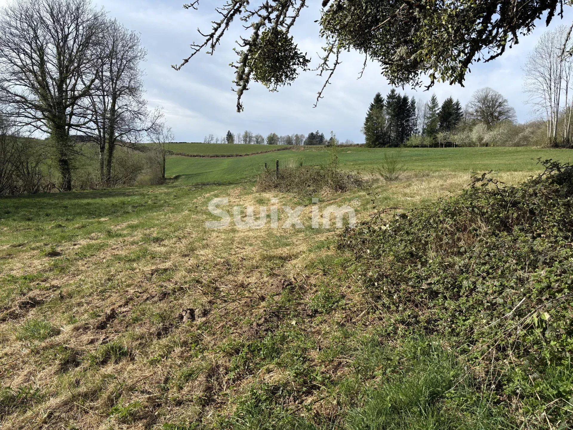 casa 6 Quartos para venda sobre Quarré-les-Tombes (89630)